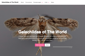 (Staging) Gelechiidae of The World