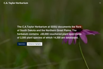 (Staging) Taylor Herbarium