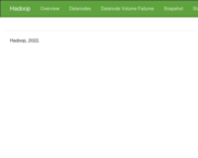 Dev+Test HDFS namenode 1
